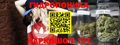 дмт Нарткала